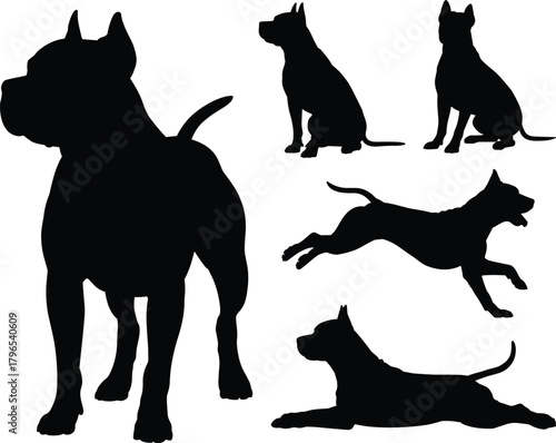 Dog silhouettes in various poses, sitting, standing, leaping, lying down, black vector, pet icon, animal shape, motion, behavior