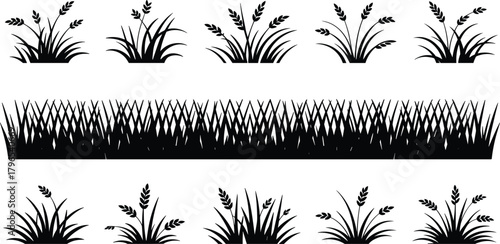 Grass silhouettes, seed heads, black vector, nature tufts, foliage icons, landscape elements, botanical shapes, outdoor design, garden illustration, natural texture