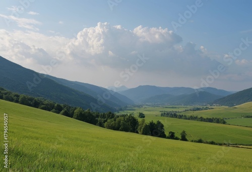 Fototapeta Naklejka Na Ścianę i Meble -  Vast valley landscape surrounded by green meadows and mountains on a sunny summer day