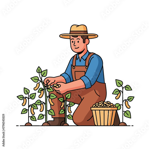 Farmer Harvesting Soybeans in Field with Hat and Overalls Vector