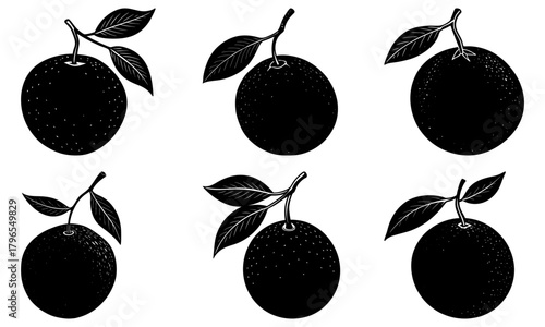 Illustration of six plums with leaves in black and white in a symmetrical arrangement on white background