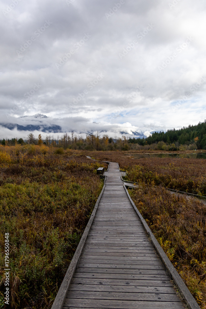 Fototapeta premium Wooden Boardwalk Through Autumn Wetland Toward Mountain Range Under Cloudy Sky in Pemberton