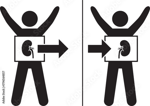 Human silhouette with kidney illustration and arrows indicating flow