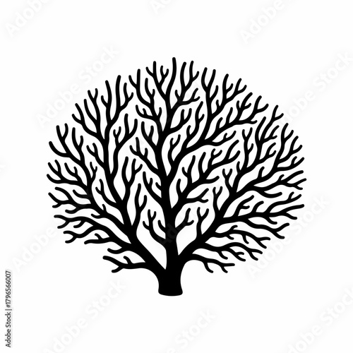 A stylized silhouette of a round tree with many branches against a white background, representing nature and growth