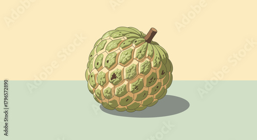 Fresh Custard Apple Illustration Against A Two-Tone Background For Branding Purposes