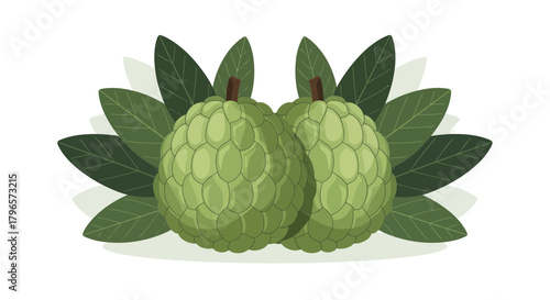 Fresh Custard Apples with Verdant Leaves, Isolated on a White Canvas Background