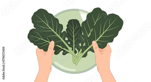 Fresh Green Leaves Presentation, Ready for Culinary Use with Simple Vector Illustration