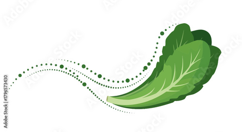 Fresh Green Salad Leaves With Animated Bubbles Isolated On A Black Background