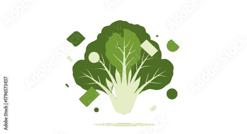 Fresh Greenery Leafy Vegetable Illustration On Dark Background For Healthy Eating