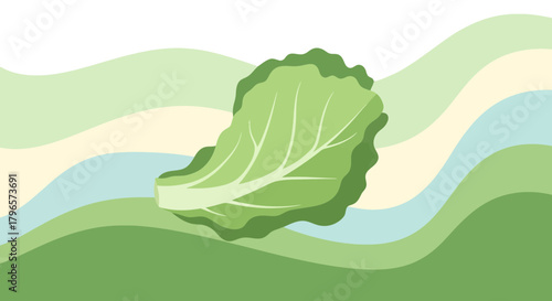 Fresh Lettuce Leaf Artfully Positioned Above Abstract Wavy Green Background