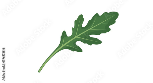 Fresh Arugula Leaf Isolated On Black With Detailed Veins And Elegant Aesthetic