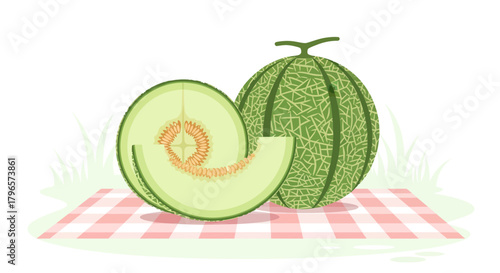 Fresh Melon And Slices On a Checkered Picnic Blanket, A Pleasant Summer Composition