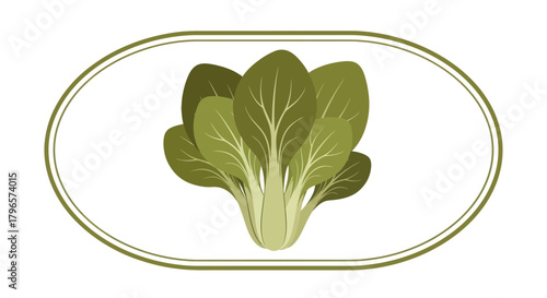 Fresh Bok Choy Displayed Beautifully Within A Stately Oval, Perfect For Design