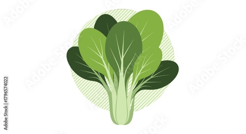 Fresh Bok Choy Displayed Against a Black Backdrop Depicting a Clean Aesthetic