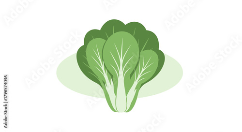 Fresh Bok Choy Displayed On a Minimalistic Plate Against a Black Background