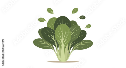 Fresh Bok Choy Isolated On Black Background, Digital Illustration For Print Or Design Project