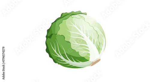 Fresh Cabbage Isolated on Black Background Depicting Healthy Eating and Organic Produce