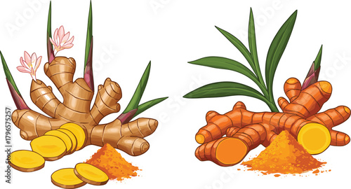 Ginger, turmeric, rhizome roots, herbal powder, sliced spice, organic ingredients, Ayurveda, culinary herbs, natural medicine, vibrant root vegetables