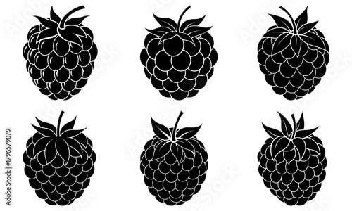 Six black and white raspberry illustrations arranged in a two by three grid pattern on white background