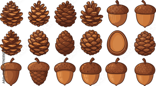 Pinecone illustration, acorn drawing, forest seeds, nature elements, botanical sketch, autumn clipart, woodland design, educational asset, eco art, seasonal decor