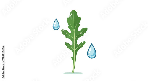 Freshness Of A Leaf With Sparkling Water Drops Isolated On A Black Background