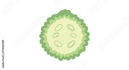 Freshly Cut Bitter Melon Slice Depicting A Cross Sectional View Isolated On White Background