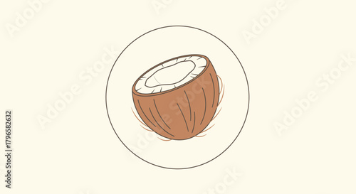 Freshly Cut Coconut Vector Illustration Inside Circle Isolated on Subtle Background