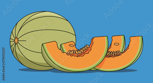 Freshly Sliced Cantaloupe: A Vibrant And Appetizing Illustration Of Summer Fruit