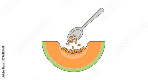 Freshly Sliced Cantaloupe Being Seeded, Perfect For Dietary, Health, And Culinary Projects