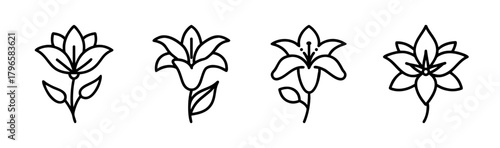 Elegant lily flower designs simple line art collection for artistic projects