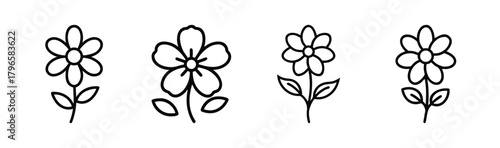 Four hand drawn outline daisy flowers with stems and leaves minimalist floral graphics