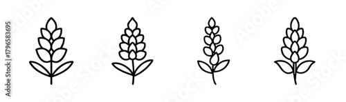 Four hand-drawn lupine flower icons simple botanical line art nature element collection