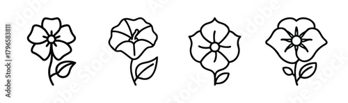 Collection of four delicate morning glory flowers with leaves hand-drawn sketch style