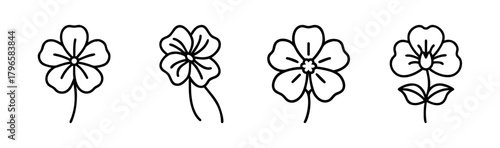 Four hand drawn nasturtium flower designs delicate botanical sketch collection