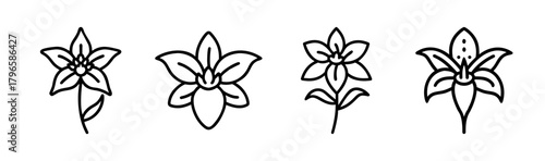 Collection of four delicate lily flowers with petals and stems stylized outline botanical art