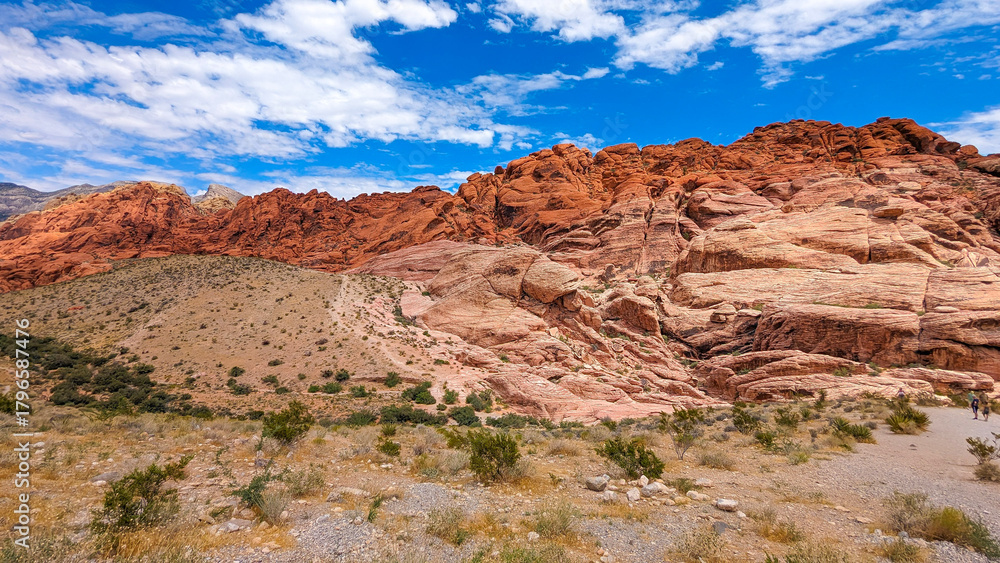 Fototapeta premium Red Rock Canyon