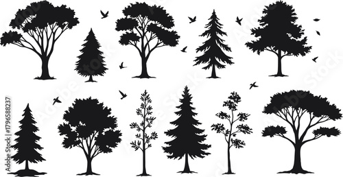 Tree silhouette set, diverse foliage and species shapes, botanical vector illustration, forest design elements, nature art collection, tree morphology series