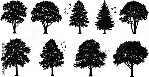 Tree silhouette set, diverse foliage shapes, nature vector illustration, forest design elements, botanical art collection, tree species posture series