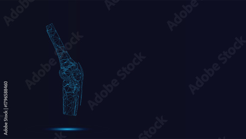 Low Polygonal Mesh Wireframe Visualization of Human Knee Joint Anatomy Structure Over Dark Blue Background Representing Medical Technology Data and Futuristic Digital Healthcare Concept