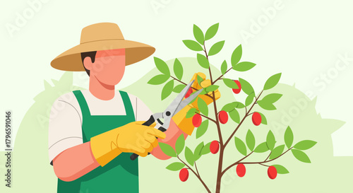 Gardener Pruning Fruit Tree with Shears: Fresh, Summer Harvest Illustration