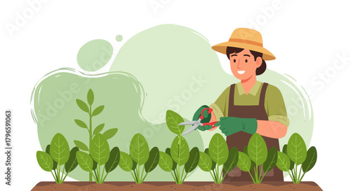 Gardener Trimming Plants in the Garden, Harvesting Fresh Vegetables, Farming Scene