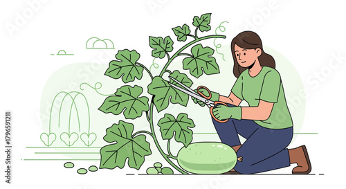 Gardening Woman Trimming Plant Leaves Ready For Harvest In Her Backyard Garden
