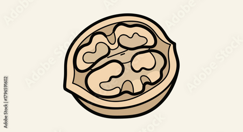 Graphic Illustration Depicting A Half Cut Walnut In Precise and Detailed Format