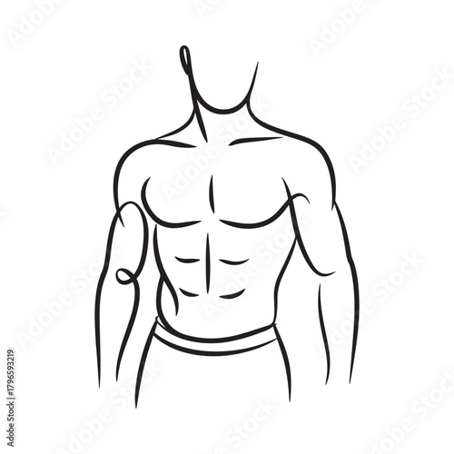 Line art illustration of a muscular male torso and arms