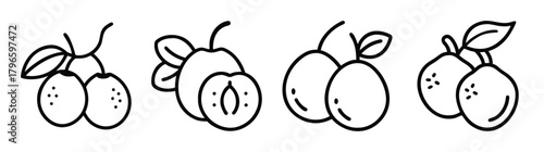 Simple outline drawings of four different types of fresh fruits with leaves and stems