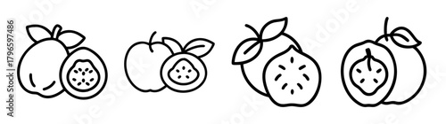 Set of four line drawings representing medlar fruits and slices with leaves