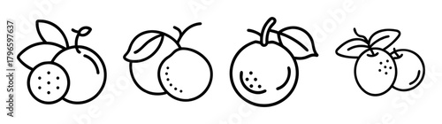 Simple line art drawings of oranges and tangerines with leaves and stems