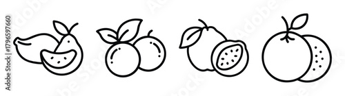 Simple hand-drawn line art fruits lemon pear berries guava orange collection