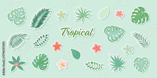 Collection of tropical leaves and flowers with the word tropical on a light green background