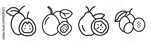 Outline drawing of four loquats showing whole and halved fruits with leaves and stems